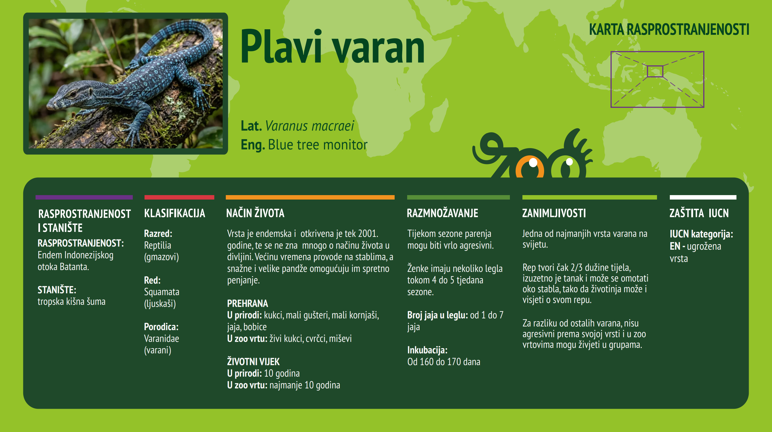Plavi varan